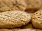 Biscuits d’apéritif au fromage