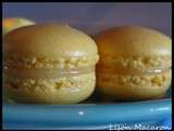 Macaron Citron