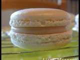 Macaron Vanille Chocolat Blanc