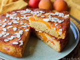 Gâteau renversé aux abricots