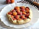 Tarte rustique aux abricots