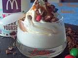 Mc Flurry Home made