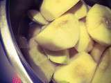 Jus de Pomme Ô Thermomix