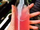 Sirop de framboise - Thermomix