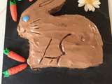 Gateau lapin léger (choco-Nutella)