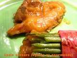 Aiguillettes de canard au chutney abricots