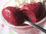 Sorbet aux fruits rouges surgelés (sorbetière)