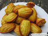 Madeleines maison