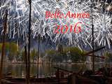 Bonne Année 2016