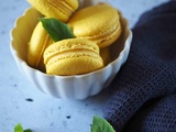 Macarons Citron Basilic