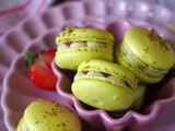 Macarons Fraise Pistache