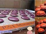 Macaron'day