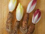 Endives