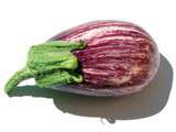 L'aubergine