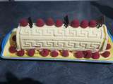 Bûche ou cake glacé rapide vanille framboise