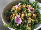 Salade de pois chiches et courgettes