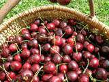 Tatin aux cerises