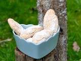 Biscuits à la cuillère au mélange pour pain d'épices