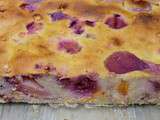 Clafoutis aux framboises abricots et nectarines sans gluten et sans lactose