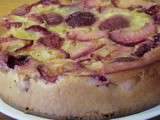 Clafoutis aux prunes sans gluten et sans lactose