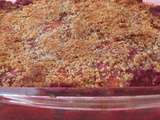 Crumble aux abricots, aux fruits rouges et à la noix de coco sans gluten et sans lactose