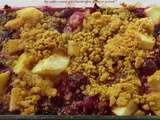 Crumble aux fruits rouges et aux pommes sans gluten et sans lactose