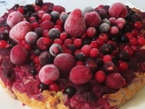 Gâteau à la noix de coco et aux fruits rouges