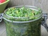 Pesto ou tartare aux fanes de radis et au chou kale sans gluten et sans lactose