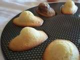 Madeleines