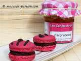 Macaron Carot’abricot et chocolat noir