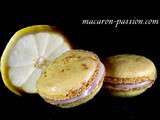 Macaron citron et chocolat blanc