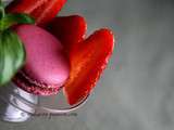 Macaron fraise basilic **** corrections