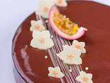 Chocolament passion - Entremets chocolat - fruit de la passion