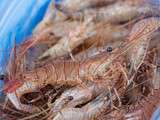 Crevettes sautées huiles d'olive, tomates cerises relevées de piment d'Espelette