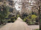 Copenhague, Cimetière Assistens et Superkilen Park