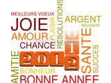 Je vous souhaite une excellente année 2012