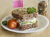 Spécial Pique-nique ! Sandwich au concombre et salade de quinoa