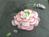 Rose de radis au fromage frais