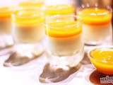 Panna Cotta vanille & coulis de mangue