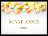 Bonne année ... 2023