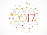 Bonne année 2017