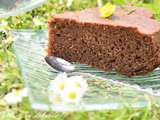 Gâteau au chocolat à l’eau gazeuse