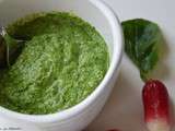 Pesto de fanes de radis