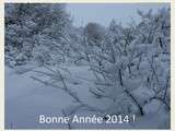 Bonne année 2014