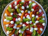 Fantastik de tomates anciennes