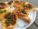 Pides au boeuf tex mex