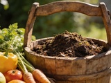 Cet engrais à base d’ingrédients simples permet de booster la récolte au potager
