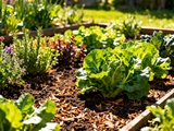 Cette astuce au paillage change tout pour un potager en pleine forme dès le printemps