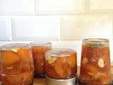 Confiture d’abricot