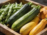 Courgettes, haricots, courges : les semis à préparer en intérieur dès maintenant pour gagner trois semaines